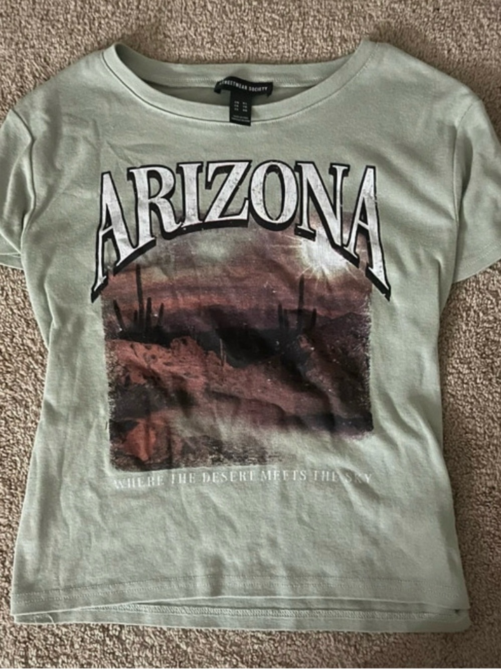 Streetwear Society Arizona Graphic Tee - Sage Green